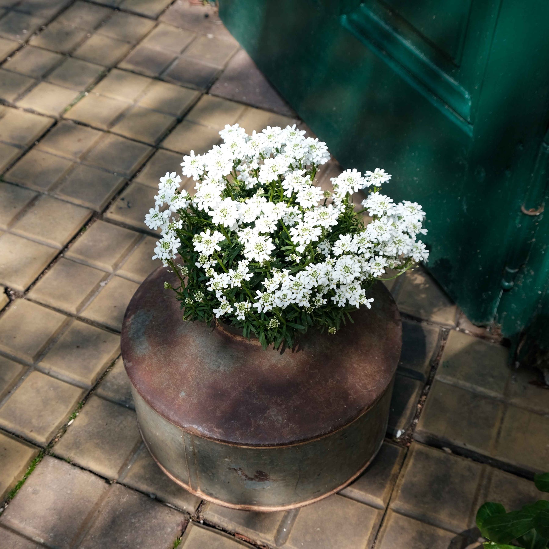Metallvase mit Blumen