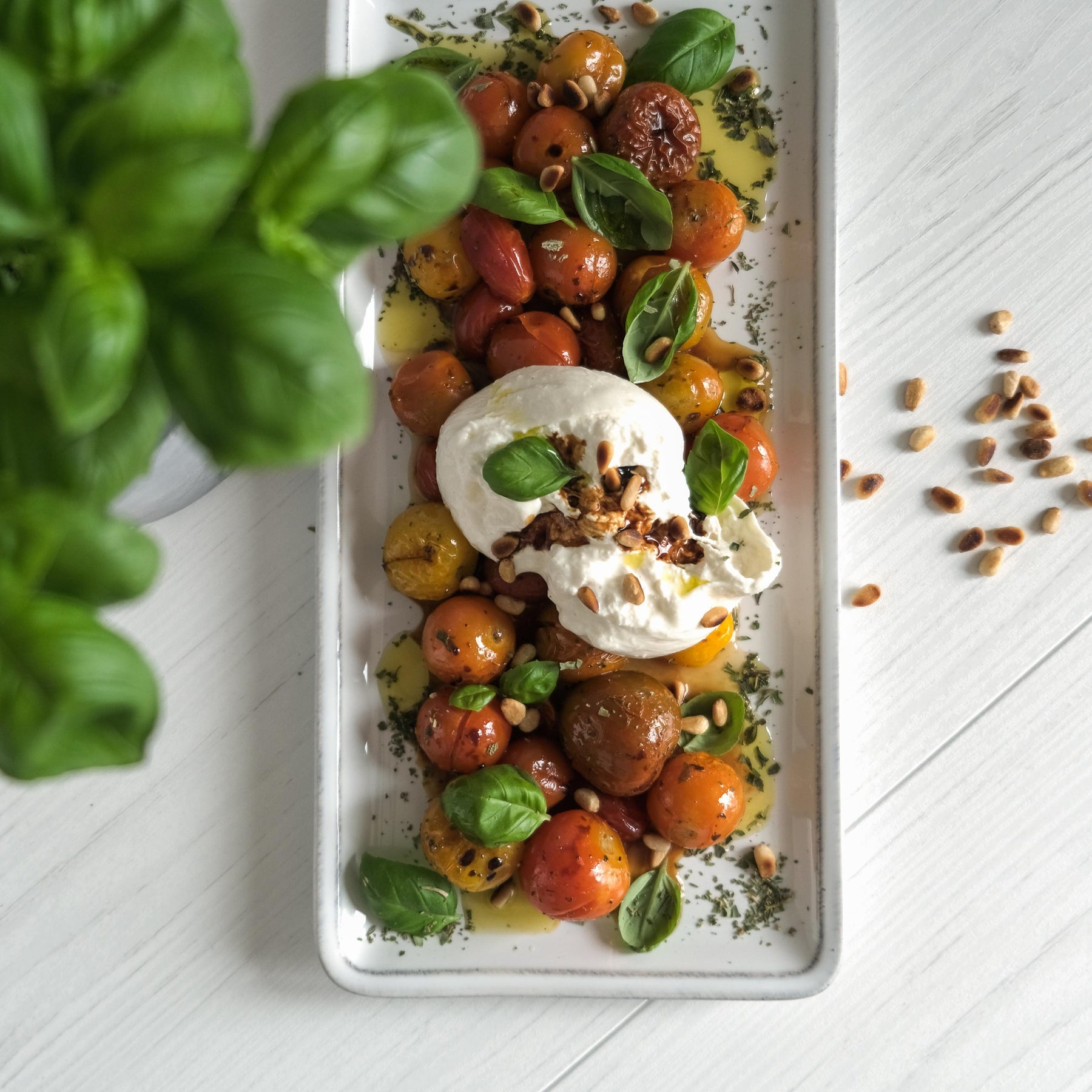Burrata mit Ofentomaten