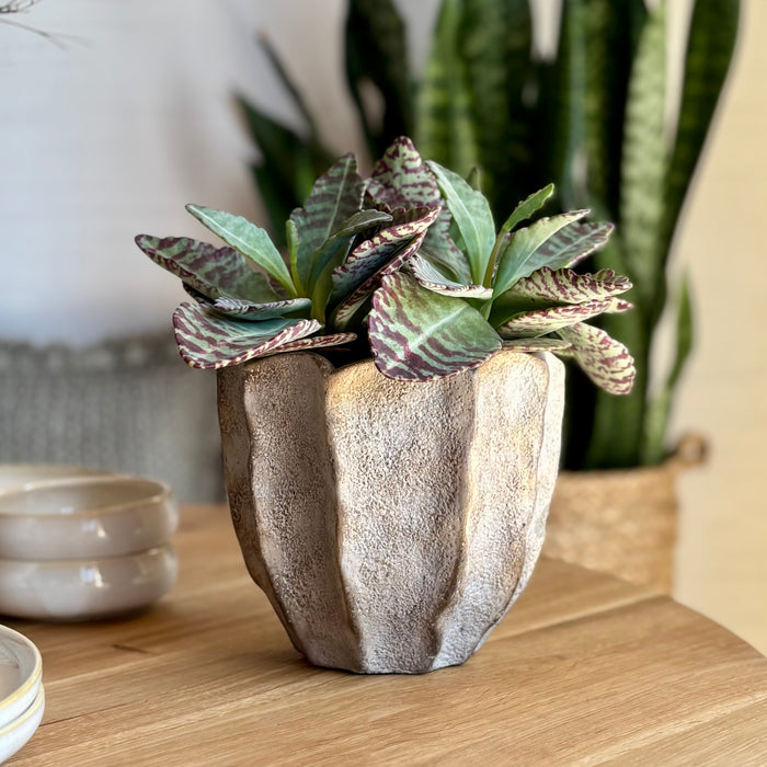 Blumentopf/Vase aus Zement 15cm