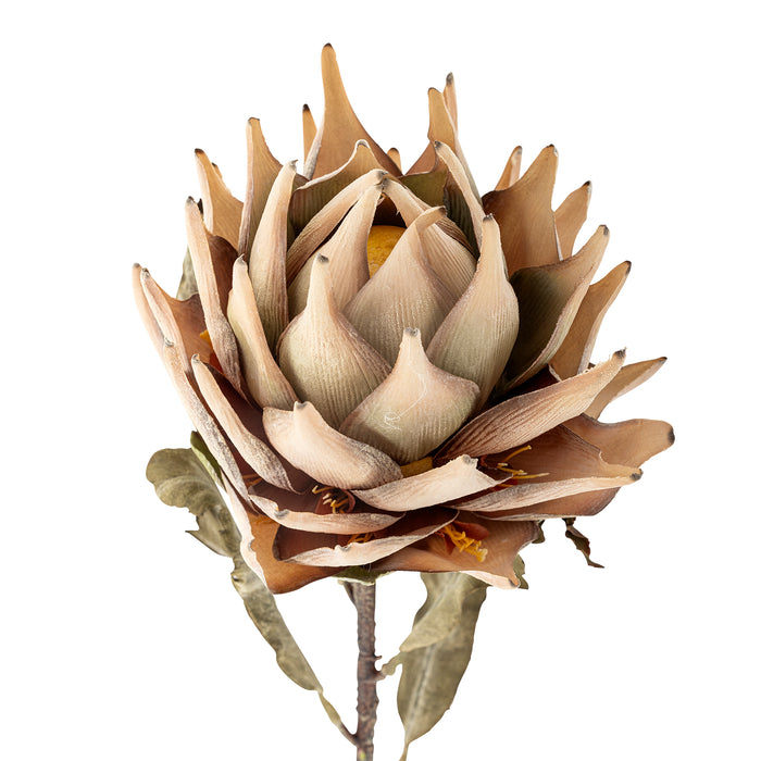 Kunstblume Protea Stiel, Natur