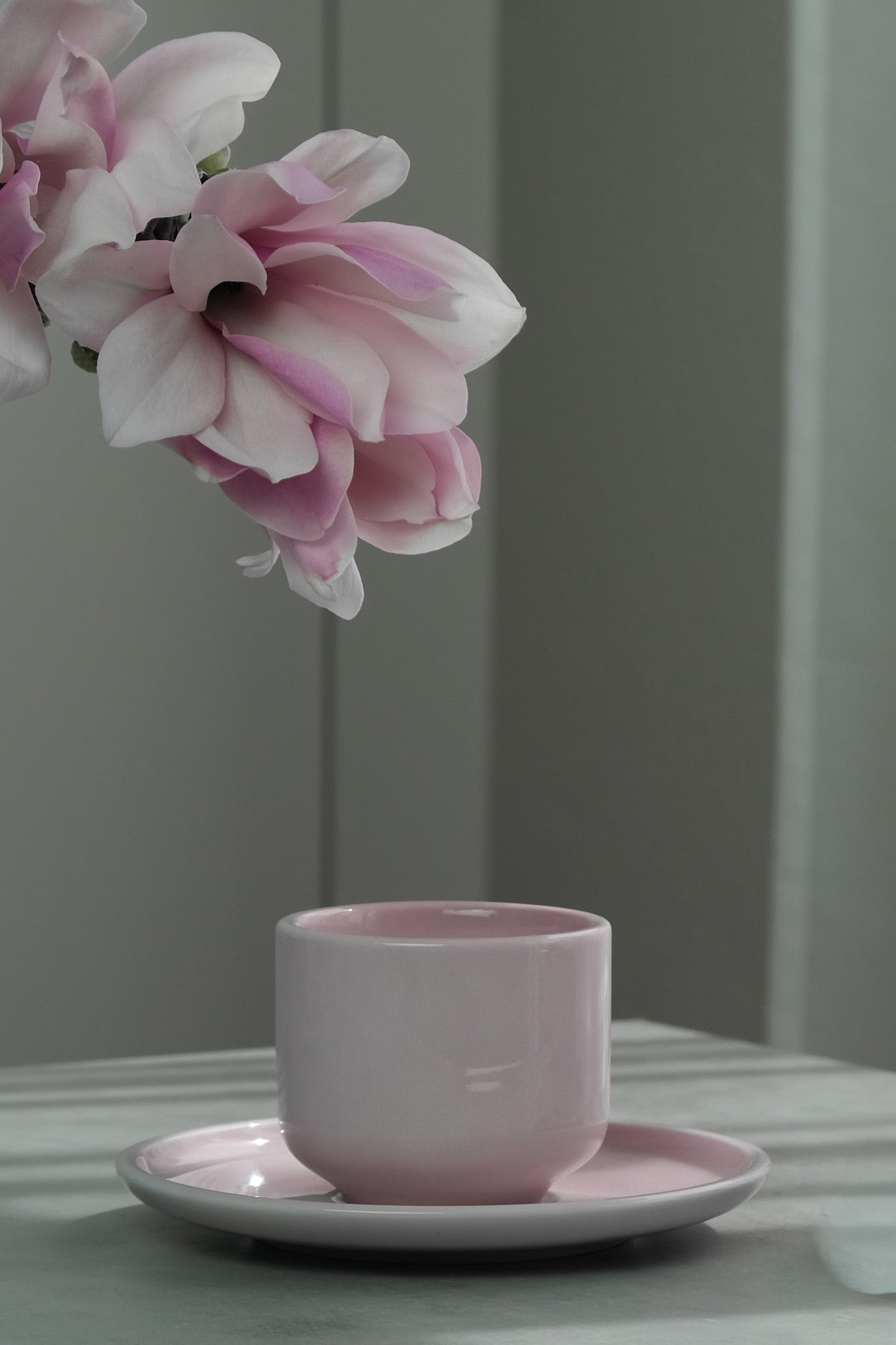 Homents Signature Collections