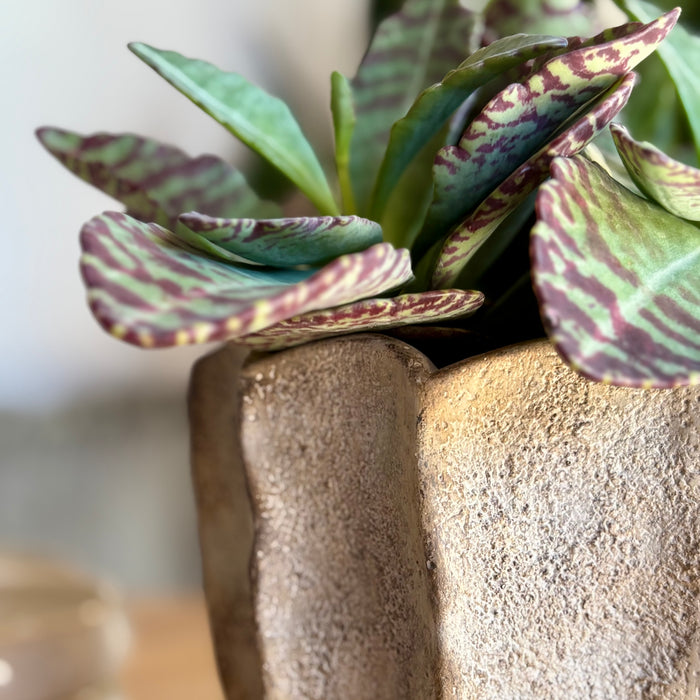 Blumentopf/Vase aus Zement 15cm