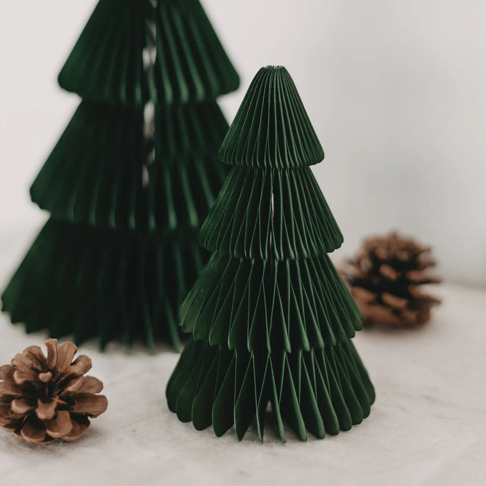 Papiertanne - 2er Set