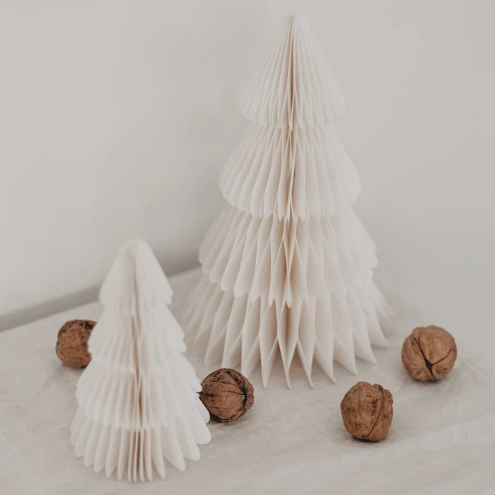 Papiertanne - 2er Set