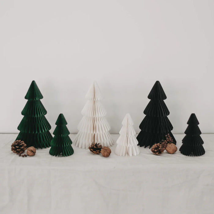 Papiertanne - 2er Set