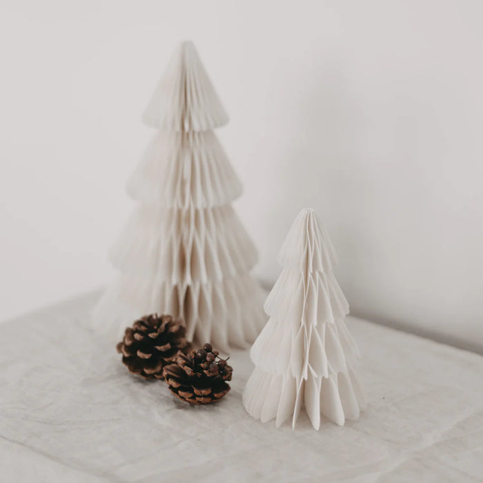 Papiertanne - 2er Set