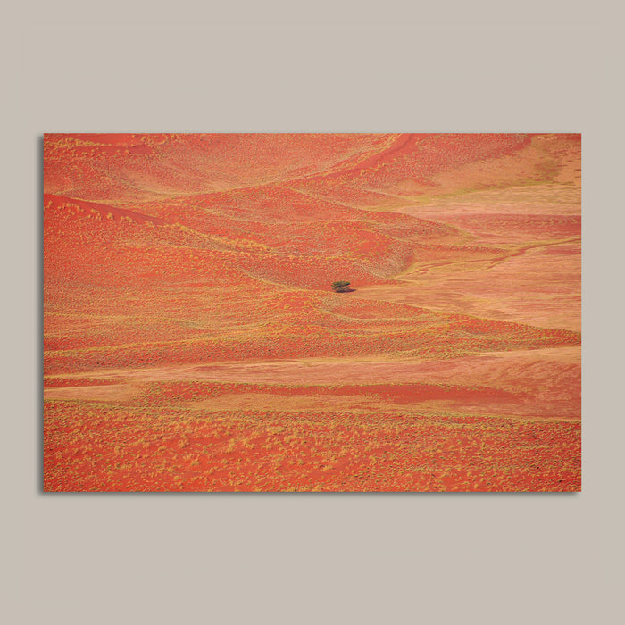 Orange Dunes #2